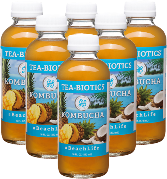 Organic Beach Life (Pina Colada) Kombucha TEABIOTICS KOMBUCHA