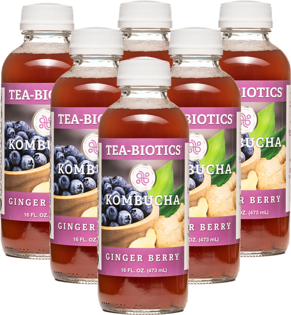 Organic Ginger Berry Kombucha TEABIOTICS KOMBUCHA
