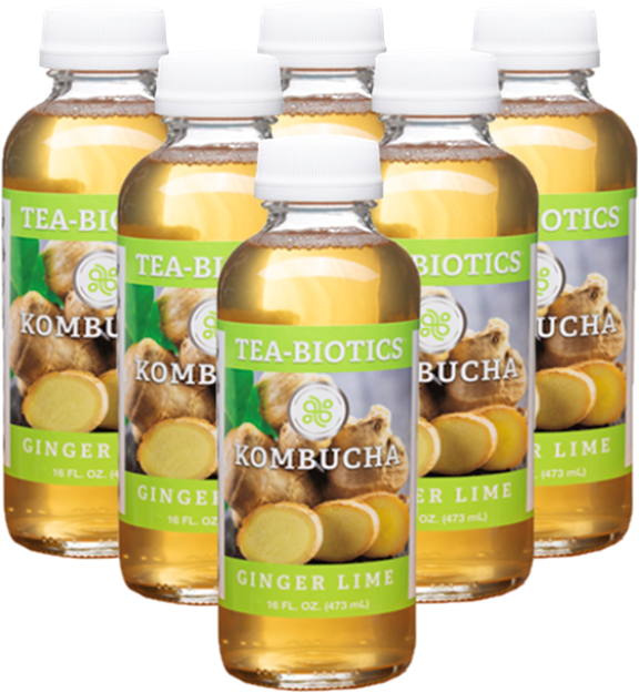 Organic Ginger Lime Kombucha TEABIOTICS KOMBUCHA